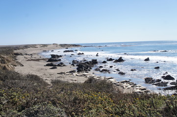 Elephant Seals, Highway 1, California Coast