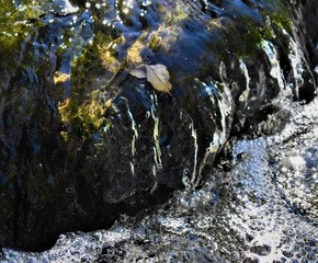 waterfall in the forest