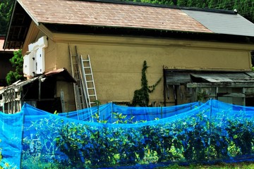 獣被害防止ネットと蔵