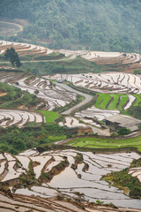 Rice field terraces. Mountain view in the clouds. Sapa, Lao Cai Province, north-west Vietnam