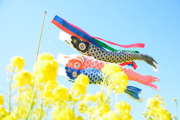 こいのぼり