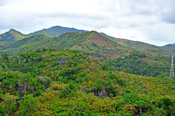 Fototapeta na wymiar mountain and rocks plus trees growing