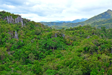 mountain and rocks plus trees growing