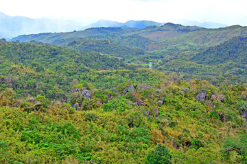 mountain and rocks plus trees growing