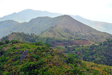mountain and rocks plus trees growing