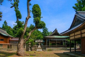 小浜神社