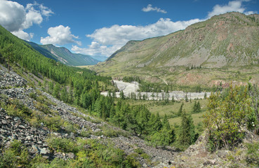 Fototapeta na wymiar Mountain gorge on a summer day. Rocks, stones, forest and stormy river.