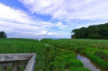 Marsh and Creek in Westmoreland State Park Campground
