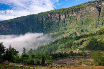 Rice field terraces. Mountain view in the clouds. Sapa, Lao Cai Province, north-west Vietnam