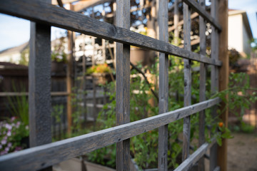 Wood Lattice in a Deck in a Backyard 
