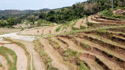 Aerial view of dry rice fields not planted with rice