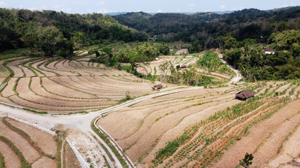 Fototapeta na wymiar Aerial view of dry rice fields not planted with rice