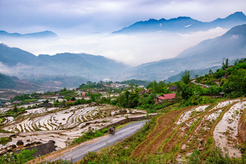 Fototapeta na wymiar Rice field terraces. Mountain view in the clouds. Sapa, Lao Cai Province, north-west Vietnam