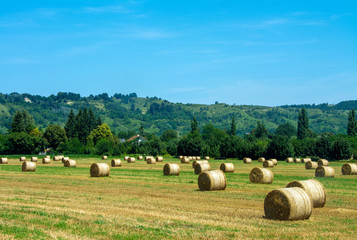 landscape on a field with round bales of straw