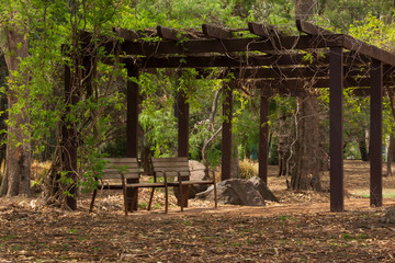 Shaded Seating Area in Leafy Bush Park
