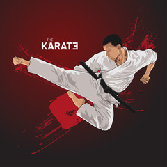 karate kick © akhid