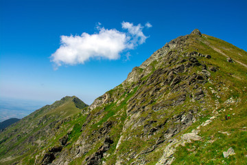 the peak Vanatoarea lui Buteanu from the Fagaras mountains - Romania