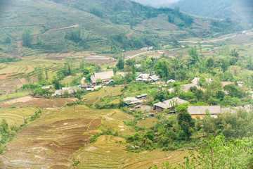 Naklejka premium Rice field terraces. Mountain view in the clouds. Sapa, Lao Cai Province, north-west Vietnam