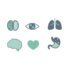 Human body part icon set