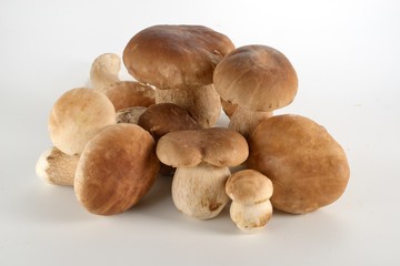 Cogumelos Funghi Porcini