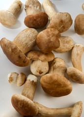 Cogumelos Funghi Porcini