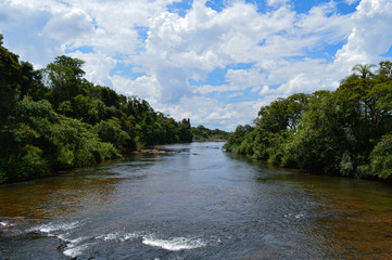 river in the woods of the parque nacional do iguazu at parana next to the cataratas do iguazu