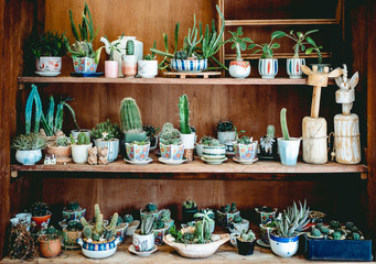 Layout in a loft style in dark colors open space interior view of various coffee Welcome open coffee shop background.