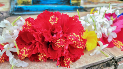 selective focus on beautiful red flowers