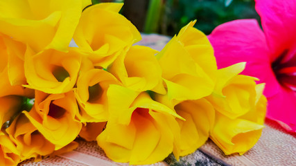 Fototapeta na wymiar selective focus on yellow flower petals
