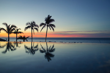 palm trees reflect at a beach resort
