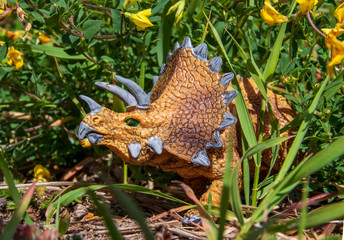 triceratops jurassic ancient extinct dinosaur animal