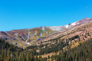 Autumn in Colorado