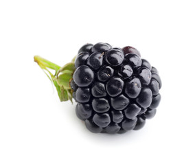 Ripe tasty blackberry on white background