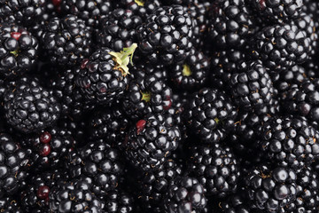 Ripe tasty blackberry as background