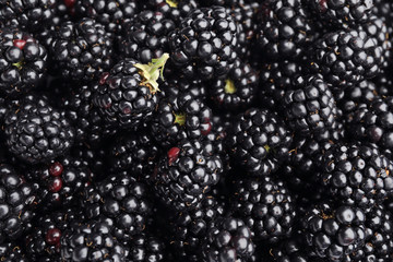 Ripe tasty blackberry as background © Pixel-Shot
