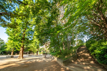 三田丘の上公園