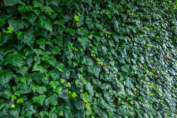 三田丘の上公園