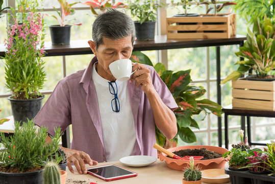 Senior Asian Retirement Old Man In Casual Outfit Doing A Hobby With Happy And Relax Enjoy Drinking Coffee And Using Tablet For Online Social In Greenhouse Garden Farm