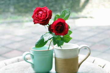 Couple cup of coffee and roses. Relationship concept always grow together. Happy valentines day...