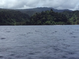 View from the lagoon on the coast of Taveuni Fiji in the Pacific ocean
