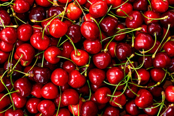 Berry cherry background. Lots of juicy cherries