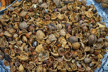 Image of a nutshell.