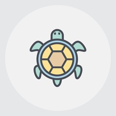 .multicolor line tortoise icon, graphic illustration from Pet-vet collection, for web and app design