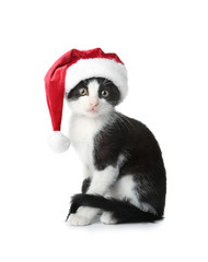 Cute funny kitten with Santa Claus hat on white background