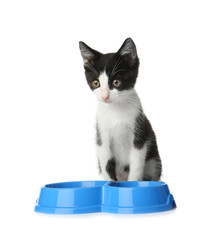 Cute funny kitten with bowl of food on white background