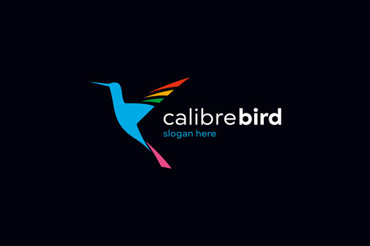 calibry colorful logo design vector