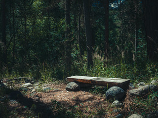 bench in the woods
