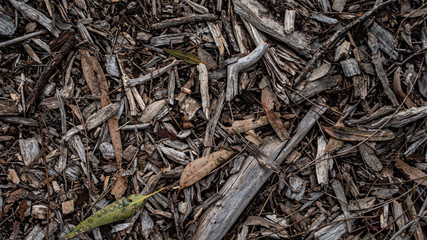 Sticks, bark texture mulch