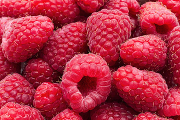 Fresh Raspberries background closeup. Studio shot