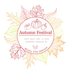 Autumn seasonal poster or banner with autumn leaves, vegetables and lettering in fall colors on white. Autumn greetings cards or corn festival invitation, flyer template. Vector autumn illustration